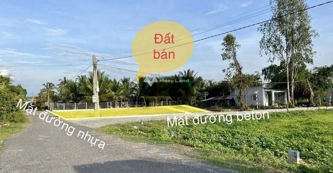 Có diện tích rộng 140m2 bán đất giá bán bàn giao chỉ 249 triệu