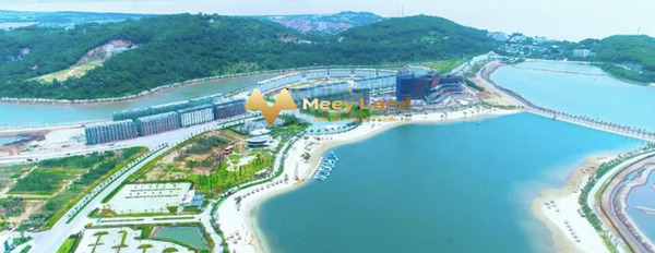 Quận Đồ Sơn, Hải Phòng 5.3 tỷ bán đất, hướng Đông Nam dt tầm trung 1561 m2-02