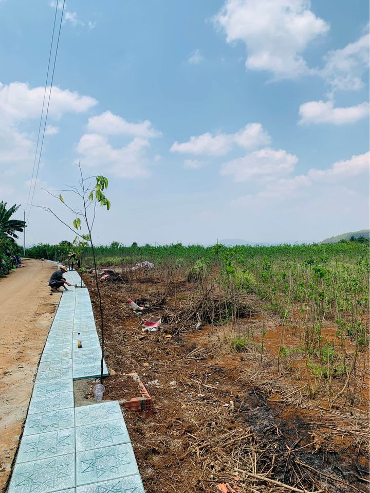 Mua bán kho bãi - nhà xưởng - khu công nghiệp huyện đức trọng tỉnh lâm đồng giá 1.9 tỷ-0