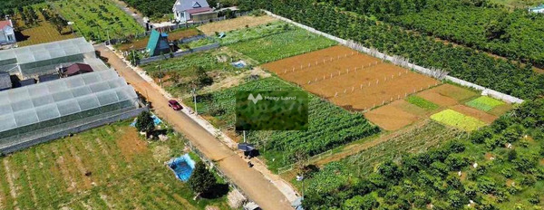 Vị trí thuận lợi tọa lạc ngay ở Lộc Tiến, Lâm Đồng bán đất, giá bán sang tên 400 triệu có một diện tích 1000m2-02