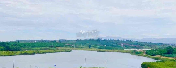 Tại Phúc Thọ, Lâm Đồng bán đất 2.85 tỷ diện tích chung là 726m2-02