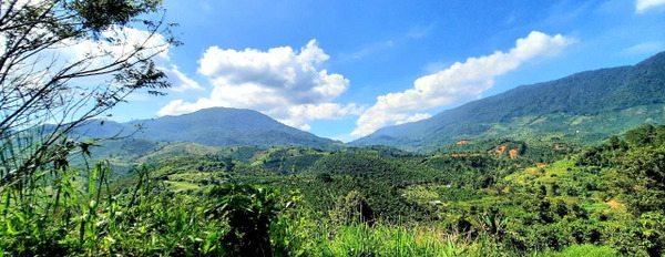 Đất đẹp. View đẹp. Mặt tiền đường lộ nhựa dài hơn 200m. Gần suối, sổ hồng riêng. 0902 956 *** -03