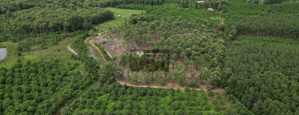 Giá cạnh tranh 430 triệu bán đất diện tích khoảng 3000m2 vị trí đẹp tọa lạc ngay ở Thanh Sơn, Định Quán-03