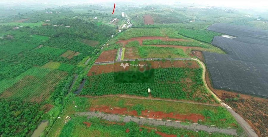 Vị trí thuận tiện Lạc Dương, Lâm Đồng bán đất giá thỏa thuận chỉ 300 triệu có diện tích thực 1000m2-01