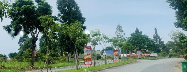 Khoảng 780 triệu bán đất có diện tích 106m2 vị trí tốt ở Trảng Bom, Đồng Nai-02