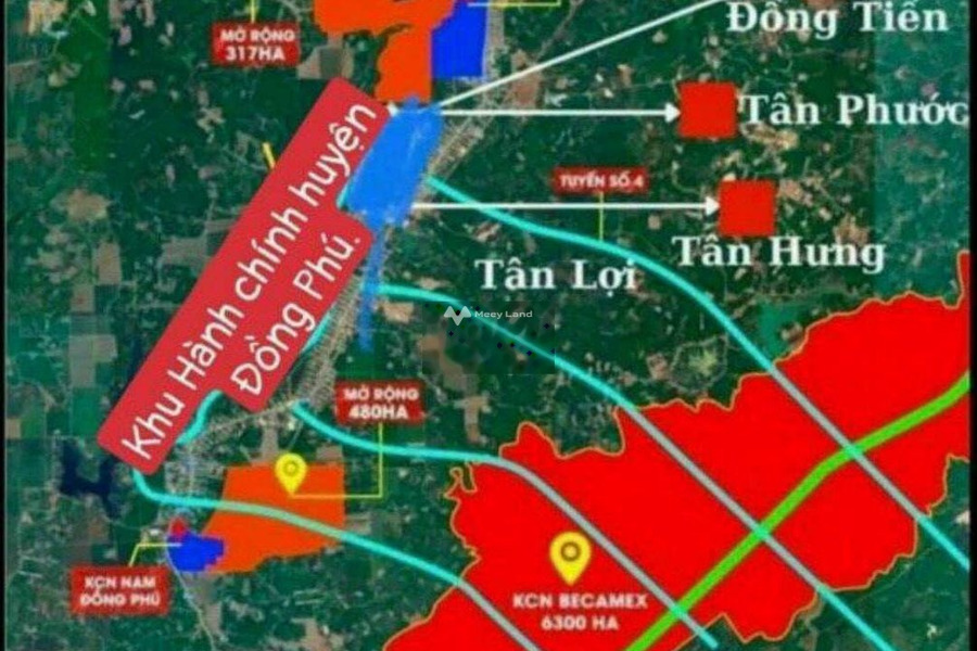 Ở Tân Lập, Bình Phước bán đất 629 triệu, hướng Đông Nam diện tích chuẩn 250m2-01