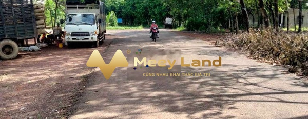 Tại Đường Liên Xã, Huyện Đồng Phú bán đất 5.5 tỷ có diện tích chuẩn 9400 m2-03