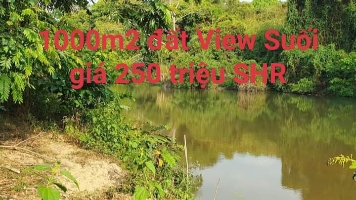 Mua bán đất huyện Đồng Phú, tỉnh Bình Phước
