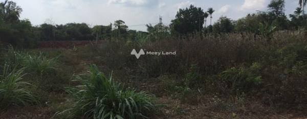 Giá bán thị trường 2.5 tỷ bán đất có diện tích tổng 3400m2 vị trí tốt đặt nằm ngay Khánh Xuân, Đắk Lắk-03