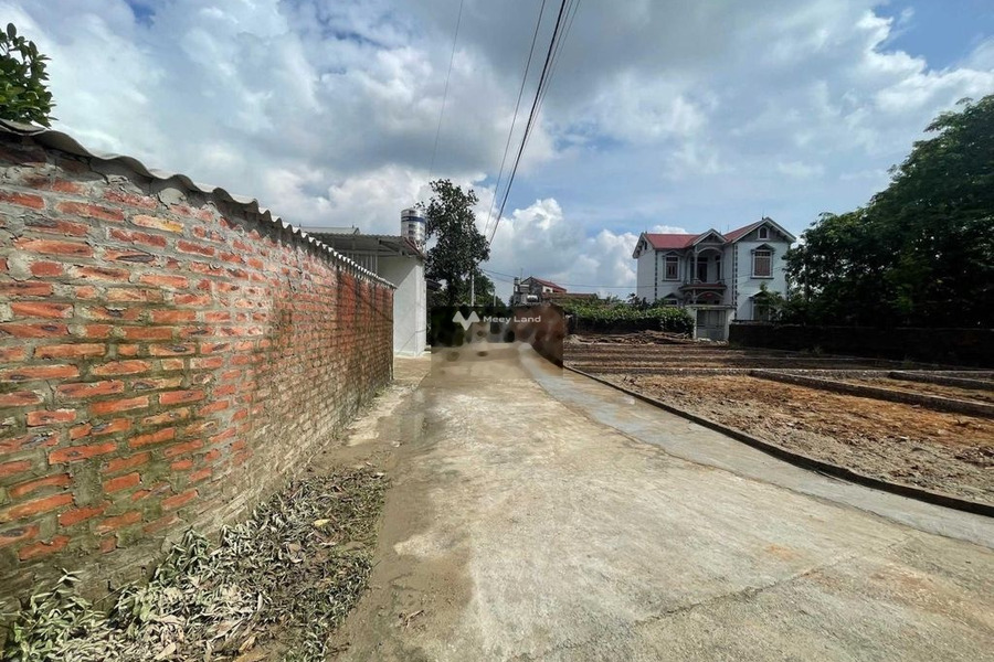 Bán lô đất góc 2 mặt tiền đường thông gần trung tâm thị trấn Sóc Sơn -01
