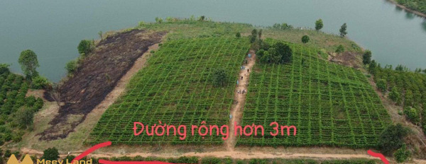 Bán 1,68 ha đất view sông Kon Tum, 260m tiếp nước, nở hậu-03