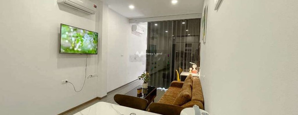 Cho thuê chung cư vị trí đặt ở trung tâm Bình Thạnh, Hồ Chí Minh, căn hộ có tổng 1 phòng ngủ, 1 WC hỗ trợ pháp lý-02