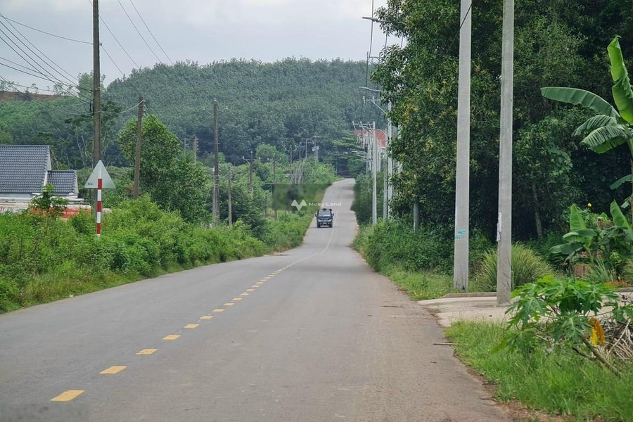 Xuân Thành, Đồng Nai 8 tỷ bán đất diện tích thực là 20345m2-01