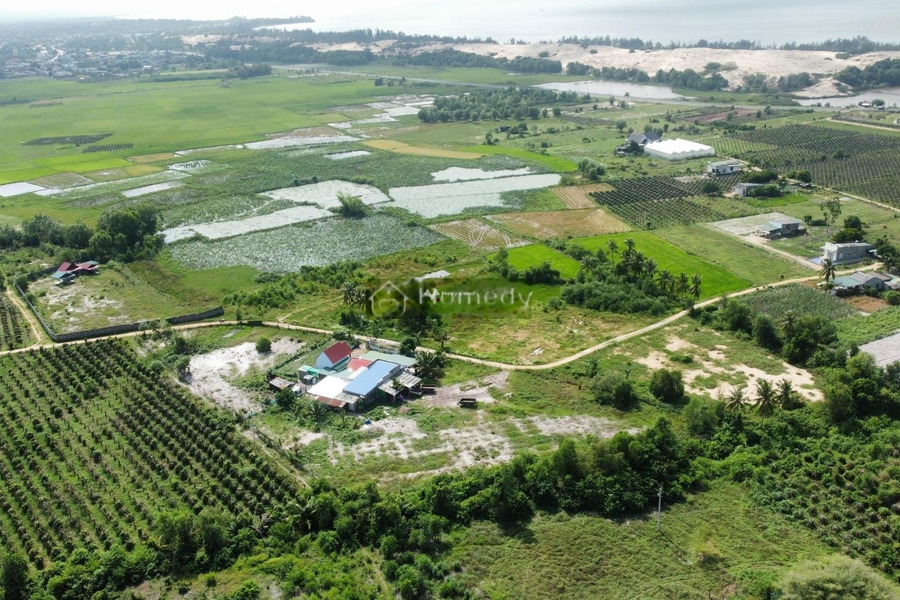 Giá cực kì tốt 850 triệu, Bán đất có một diện tích sàn 180m2 vị trí đặt tọa lạc gần La Gi, Bình Thuận còn chần chờ gì nữa-01
