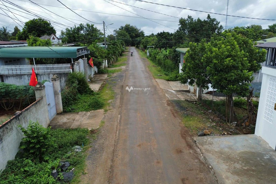 Nguyễn Trường Tộ, Đắk Lắk 1.88 tỷ bán đất diện tích chung quy 339m2-01