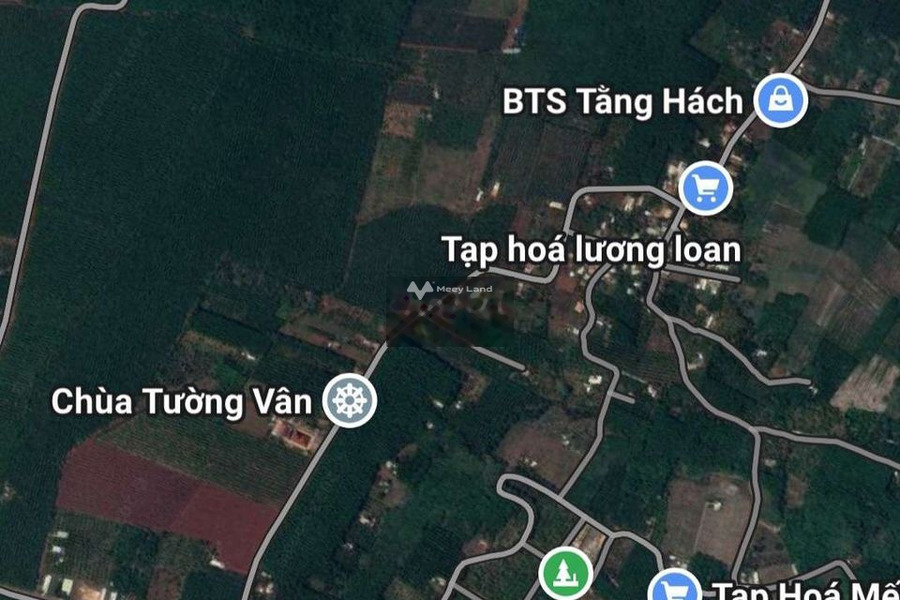 Bán đất 3,12 mẫu đất vườn Thanh Lương, Bình Long-01