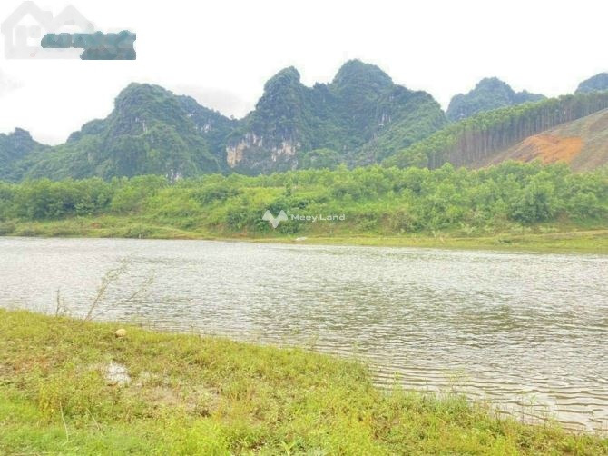 Tại Nuông Dăm, Kim Bôi bán đất 2 tỷ diện tích chuẩn là 2800m2-01