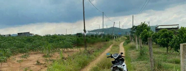 Bán đất tại Hàm Tân, Bình Thuận. Diện tích 2600m2-02