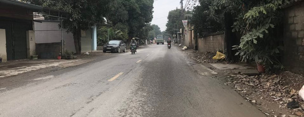 Bán đất mặt đường tỉnh lộ 421b 173m2 tại Đông Yên, Quốc Oai ,Hà Nội-03