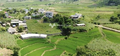 Cao Phong, Cao Phong bán đất giá cực kì tốt 2.1 tỷ có diện tích chuẩn 2000m2-03