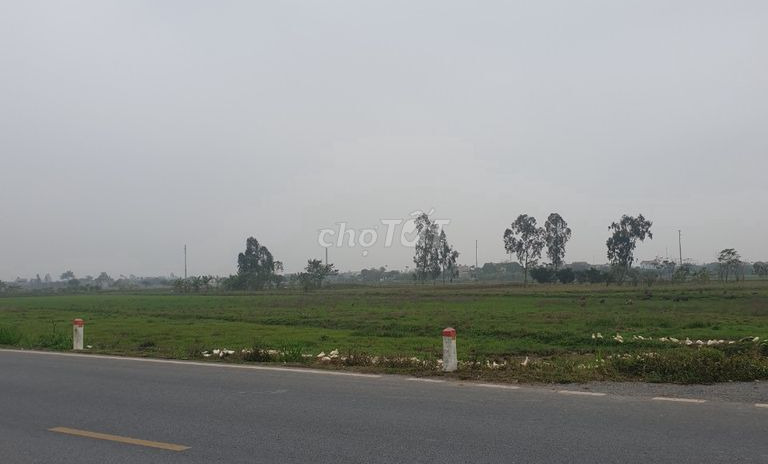 Bán đất khu công nghiệp Việt Yên, Bắc Giang đã có hạ tầng rất đẹp, diện tích từ 1ha, đến 50ha, vị trí đắc địa