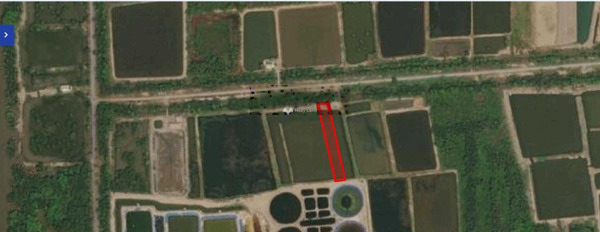 Từ 2.41 tỷ bán đất diện tích chuẩn là 1147m2 vị trí nằm ngay ở Cần Giờ, Hồ Chí Minh-02
