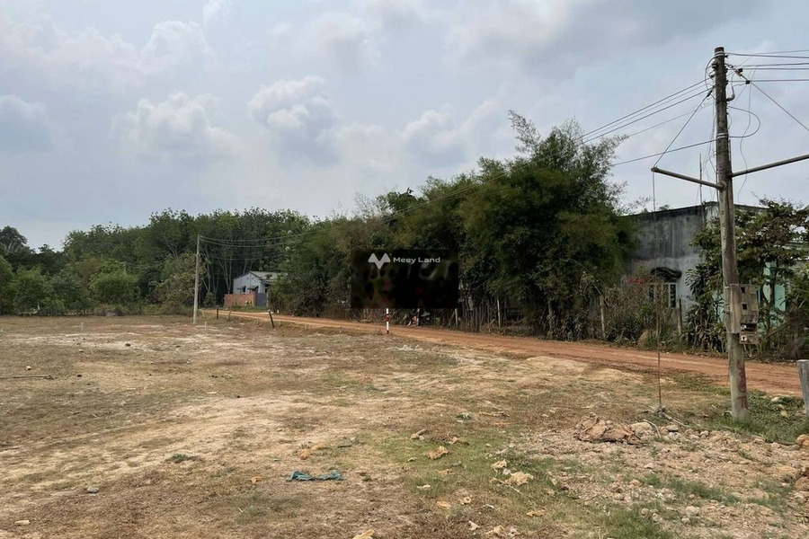 Bán đất Long Khánh, Long Khánh, diện tích 200m2-01