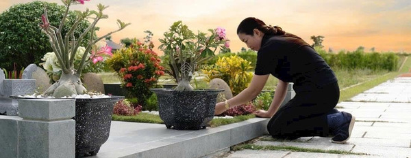 Tại Sala Garden 52 triệu bán đất có diện tích trung bình 4.8m2 vị trí đặt tọa lạc ngay trên Long Thành, Đồng Nai, hướng Đông - Bắc-02