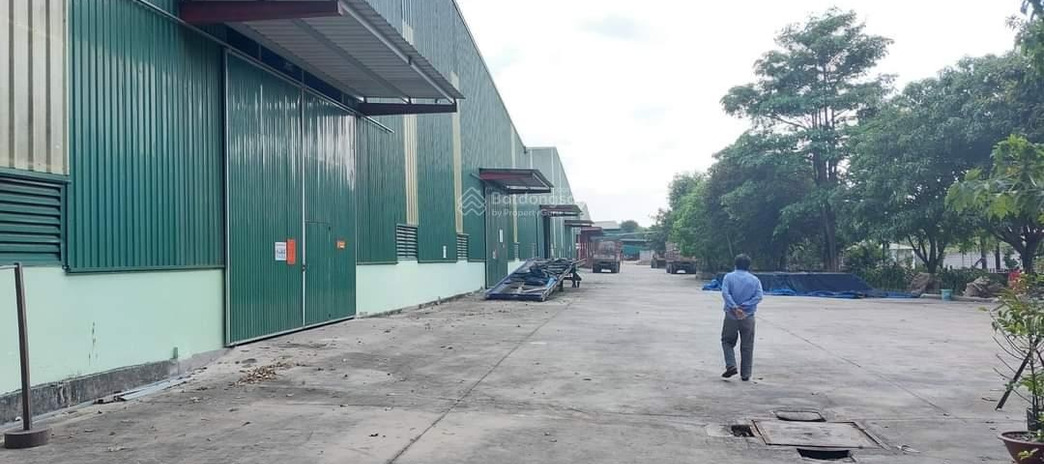 Chánh Phú Hòa, Bến Cát xưởng 20000m2 cho thuê 65k/m2 