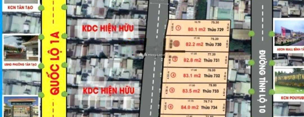 Lê Đình Cẩn, Hồ Chí Minh bán đất giá cực rẻ 3.55 tỷ, hướng Tây Diện tích nền 84m2-02