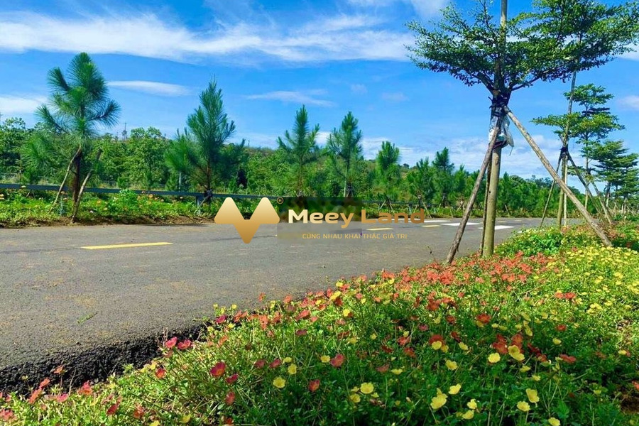 490 triệu bán đất diện tích 120 m2 vị trí thuận lợi tọa lạc ngay ở Huyện Di Linh, Tỉnh Lâm Đồng-01