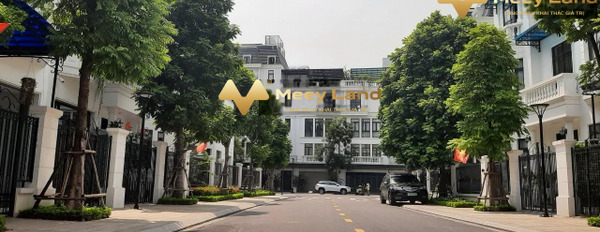 DT 162 m2 bán nhà ở gần Thượng Lý, Hải Phòng tổng quan trong căn nhà gồm 4 PN 4 WC còn chần chờ gì nữa-03