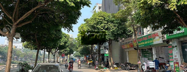 Bán đất 28.5 tỷ Vũ Tông Phan, Thanh Xuân diện tích đúng với trên ảnh 125m2-02