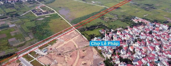 Bán đất đấu giá X7 Lễ Pháp, Tiên Dương, huyện Đông Anh, Thành phố Hà Nội lô góc đường 20m-02