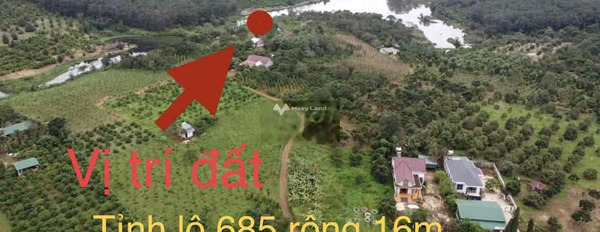 Đắk R'Lấp, Đắk Nông bán đất giá hữu nghị 650 triệu, hướng Đông Nam với diện tích thực 1200m2-03