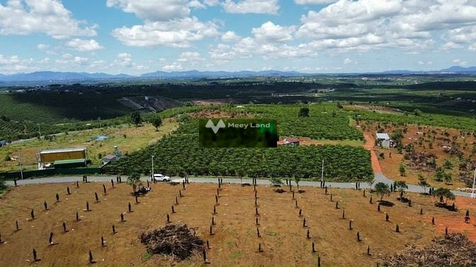 Cần mở công ty bán mảnh đất, 719m2 giá thị trường chỉ 1.2 tỷ vị trí đẹp ở Lộc Ngãi, Lâm Đồng khu vực tiềm năng-01