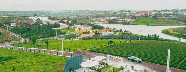 Ngay ở Bảo Lộc, Tỉnh Lâm Đồng bán đất giá cực rẻ 1.44 tỷ dt chính là 240 m2-02