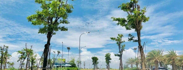 Giá sang tên chỉ 1.6 tỷ bán đất diện tích vừa phải 80m2 vị trí thuận lợi tọa lạc trên Nhơn Lý, Bình Định-03