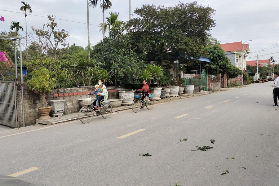 Chuyển công tác bán đất Chính Mỹ, Hải Phòng giá bán cơ bản 1.45 tỷ có diện tích khoảng 100m2-01