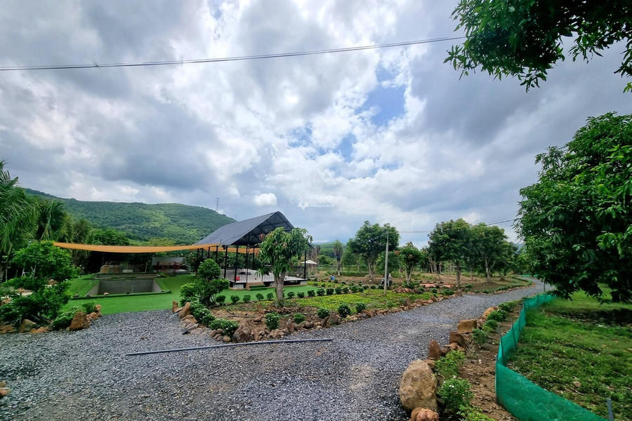 Bán farm tại Diên Khánh sổ đỏ đường oto, đã xây dựng cải tạo rất đẹp giá chỉ vài trăm nghìn/m2 giá cực mềm-01