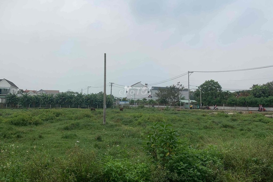 Bao Thị Trấn, Tây Ninh 450 triệu bán đất có diện tích chính 120m2-01