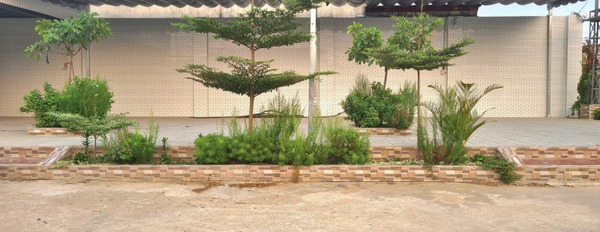 Bán đất kèm quán góc ngã tư kế trường tiểu học Lê Lai - Long Thành Nam, Hòa Thành, Tây Ninh -02