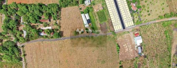 Bán đất ở Trảng Bom, Đồng Nai giá 1,25 tỷ-02