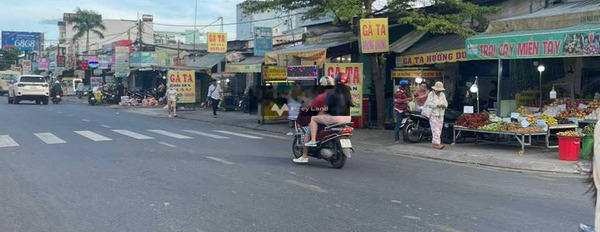 Tại An Lạc, Hồ Chí Minh bán đất giá bán chính chủ 32 tỷ có diện tích tiêu chuẩn 480m2-02