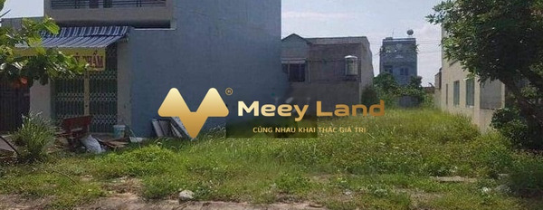 Bán đất diện tích 100m2 tại Đức Hòa, Long An-03