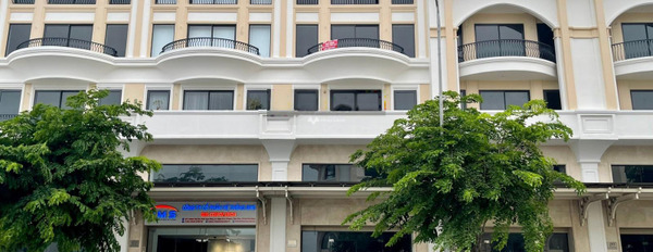 Nằm tại Thủ Đức, Hồ Chí Minh cho thuê nhà thuê ngay với giá chính chủ 55 triệu/tháng-02