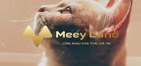 Cho thuê nhà ở diện tích rộng là 85m2 thuê ngay với giá mong muốn 25 triệu/tháng tọa lạc ngay Nguyễn Văn Trỗi, Hà Nội-03