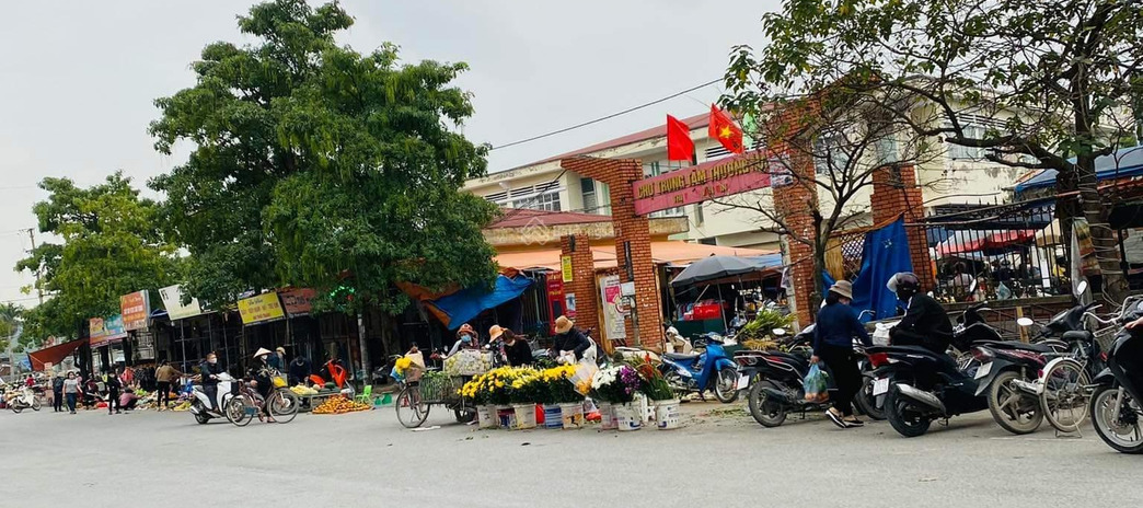 Bán đất thị trấn Vân Đình, ô tô tránh kinh doanh chỉ 40 triệu/m2