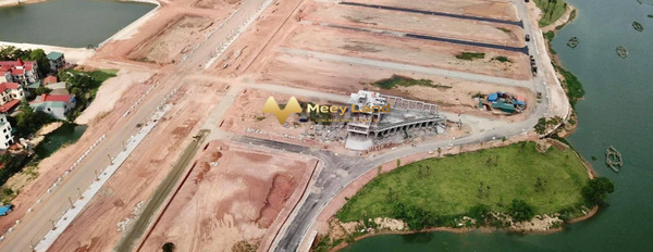 Giá bán 6,87 tỷ, bán đất diện tích 200m2 nằm tại Kim Ngọc, Vĩnh Yên-03