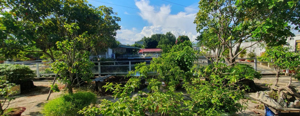 Nhà vườn nghỉ dưỡng 2600m2 tại thị trấn Cần Giuộc, góc 2 mặt tiền đường, giá rẻ bán gấp khu vực dân cư-02
